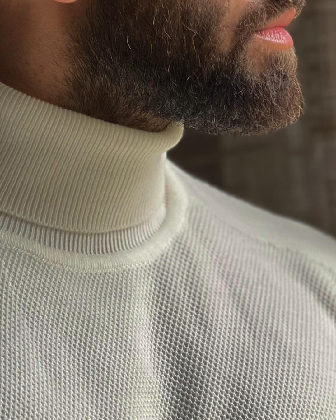 The Luxurious Turtleneck